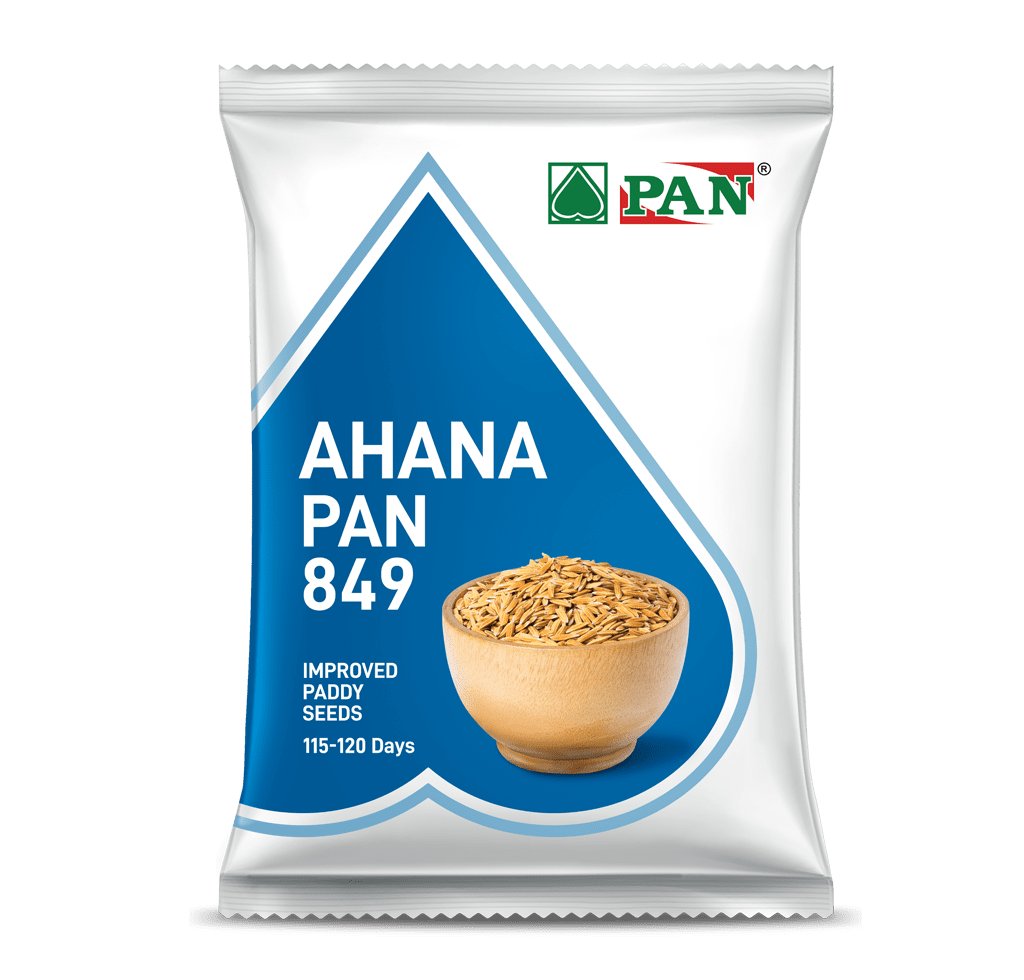 AHANA PAN 849