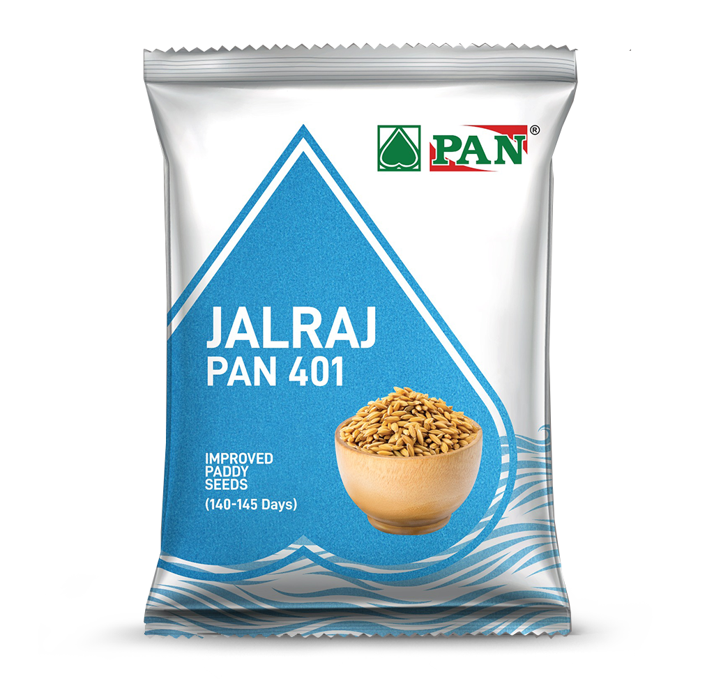 JALRAJ PAN 401