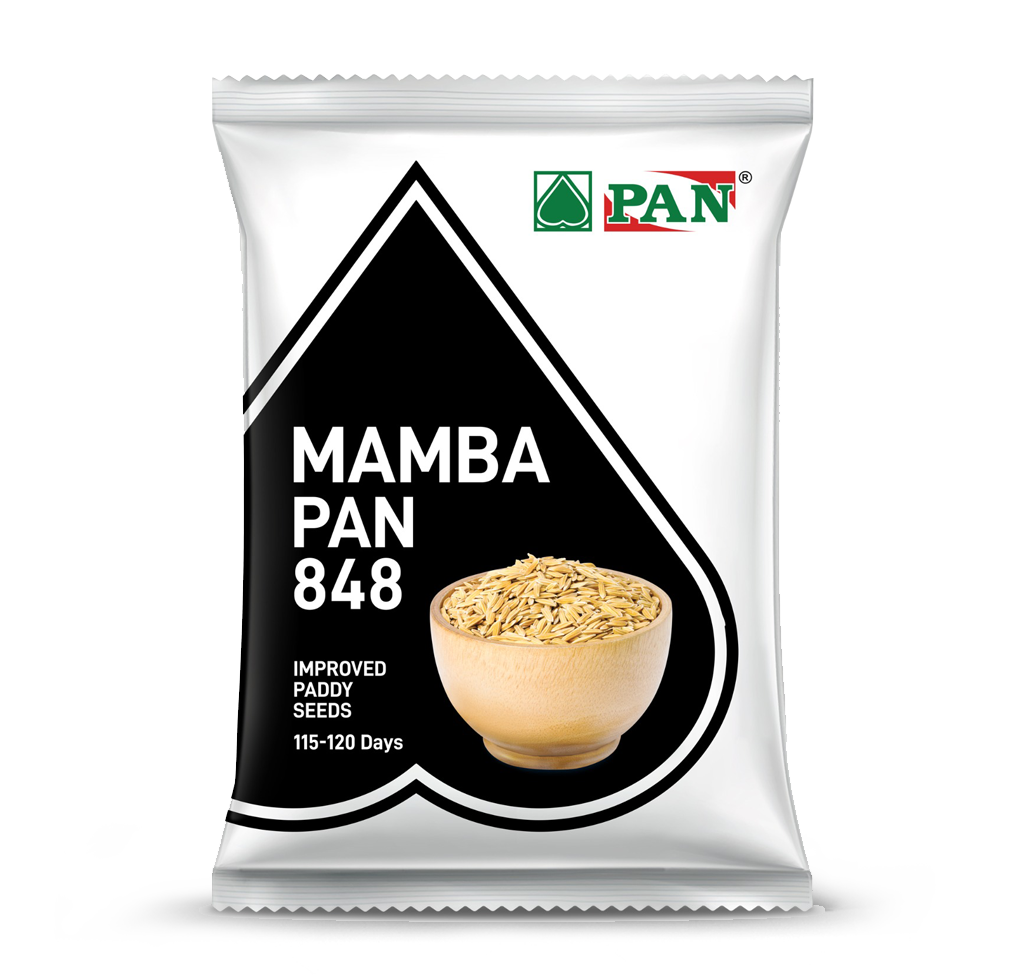 MAMBA PAN 848